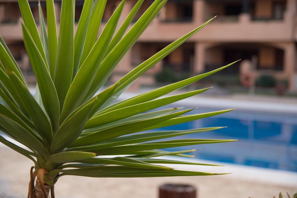 Apartamentos Turisticos Spiritmar Almerimar Εξωτερικό φωτογραφία